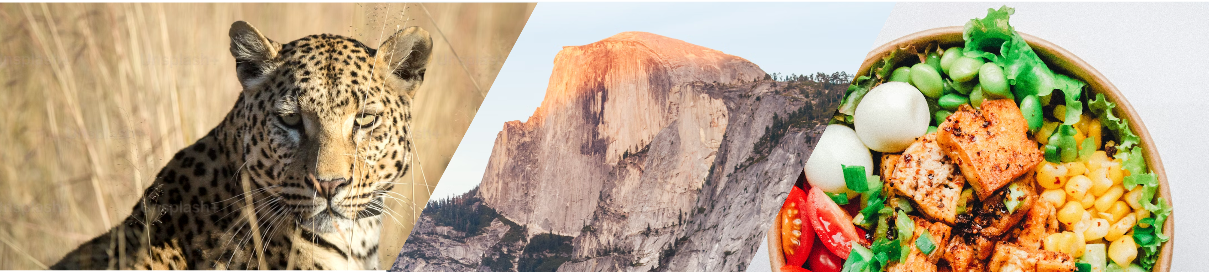 Photography categories banner